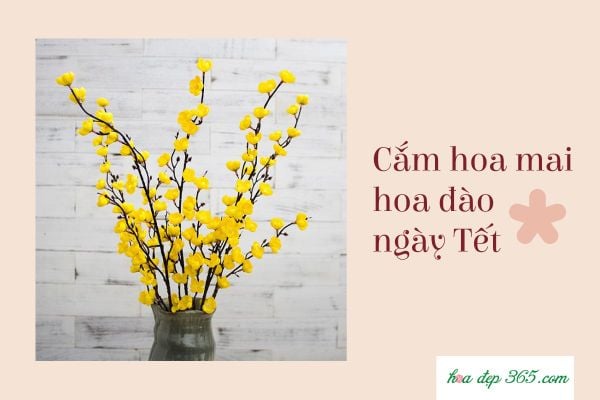 Cắm hoa Tết đẹp mang ý nghĩa truyền thống với hoa mai vàng rực rỡ