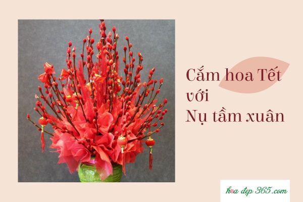 Cách cắm hoa nụ tầm xuân ngày Tết đẹp, ý nghĩa mà bạn nên biết