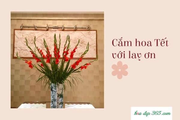 Cách cắm Hoa lay ơn ngày Tết đẹp, tươi lâu cùng Flosa