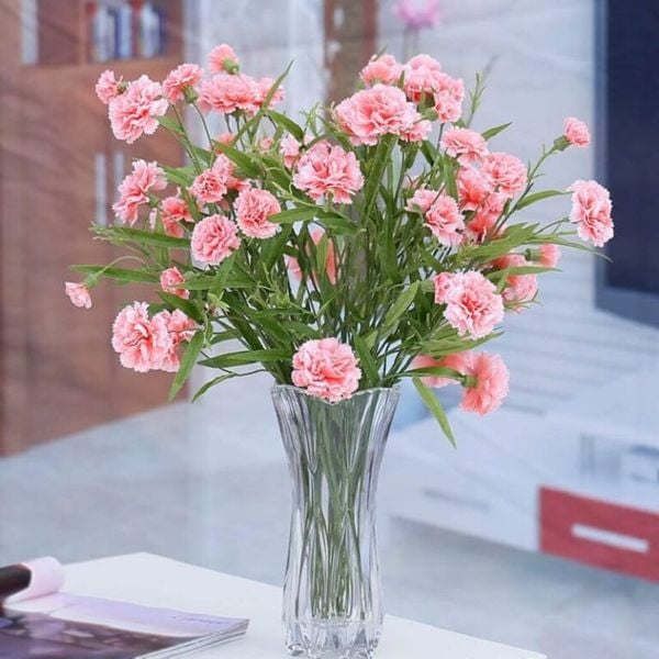 hoa tháng sinh tháng 1: hoa cẩm chướng
