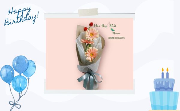 Bó Hoa Đồng Tiền rực rỡ với ý nghĩa tốt đẹp