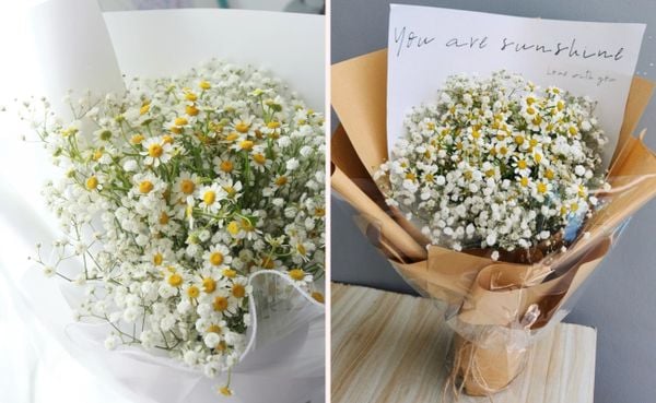 Vẻ đẹp giản dị nhưng đầy ý nghĩa của hoa cúc là món quà hoàn hảo cho bạn thân