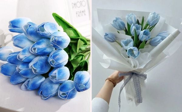 Lựa chọn hoa tulip xanh dương tinh tế để tặng sinh nhật bạn thân