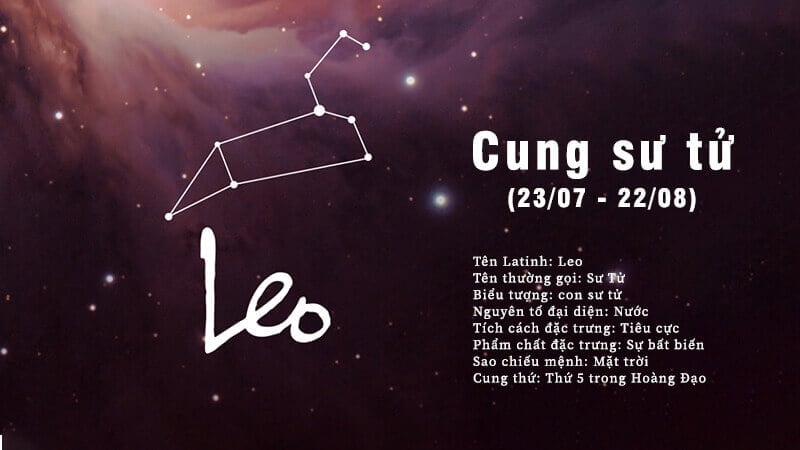 Các bạn thuộc cung Sư Tử (Leo) sẽ sinh vào các ngày từ 23/07 đến 22/08 và là một thành viên của nhà Lửa.