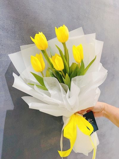Bó hoa tulip vàng