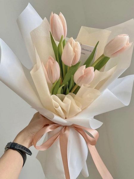 Một chiếc hoa tulip đáng yêu, nhẹ nhàng và vô cùng nữ tính.