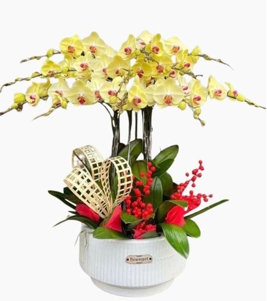 Hoa khai trương là lan hồ điệp mang lại không gian sang trọng và quý phái.