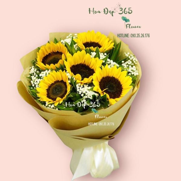 Bó hoa Hướng Dương tặng cô thầy
