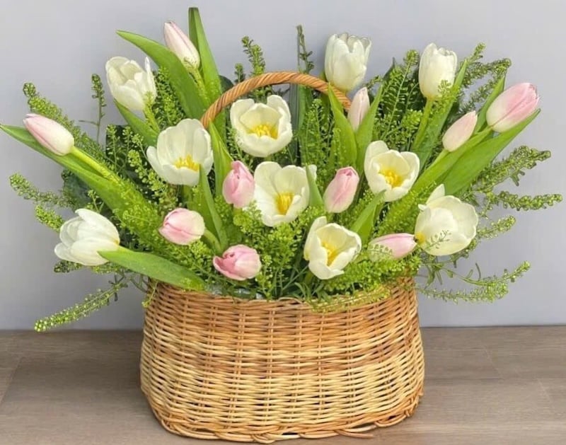 Giỏ Hoa Tươi Tulip Mix Màu - HG63