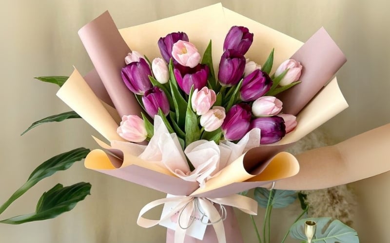 Mẫu hoa Tulip tím mix hồng phấn nhẹ nhàng, mềm mại