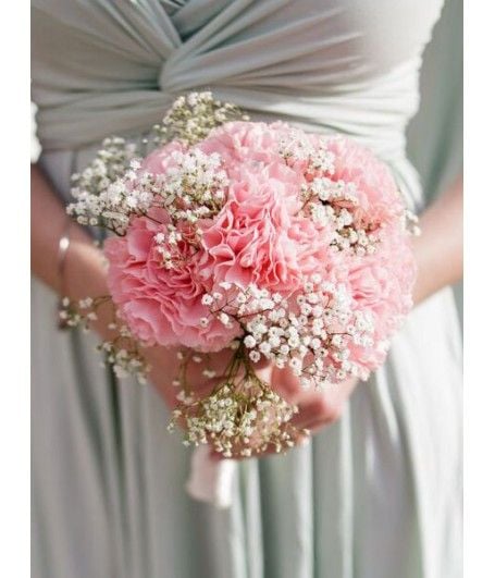 Hoa cẩm chướng đem đến sự tình yêu vĩnh cửu