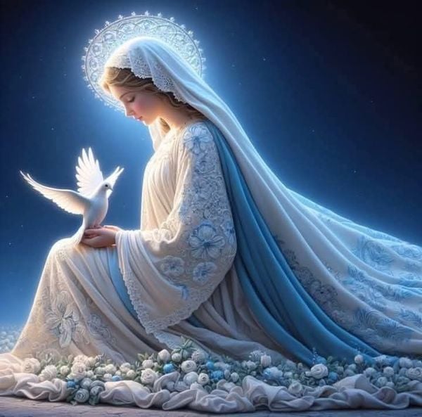 Avatar Facebook hình Đức Mẹ Maria giữa những bông hoa trắng