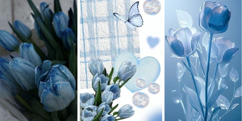 Hình nền hoa tulip cho điện thoại