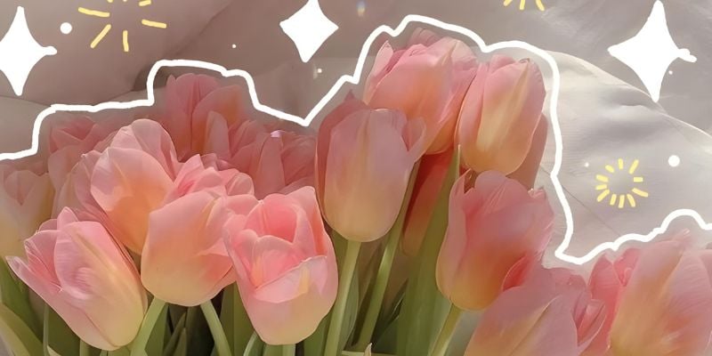Hình nền hoa tulip cute