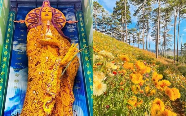 Khám phá những điều thú vị về hoa bất tử: tượng Phật độc đáo và Cánh đồng hoa bất tử Đà Lạt