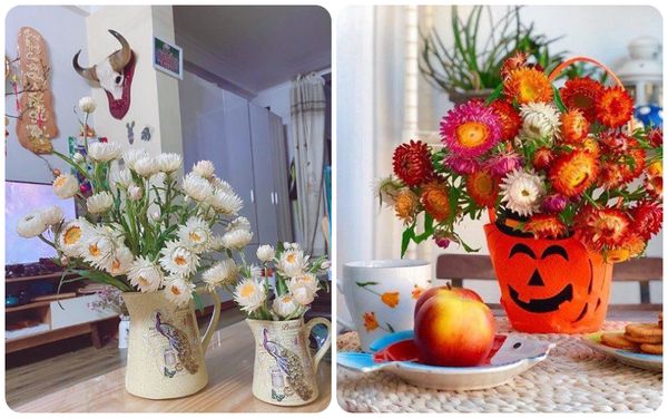 Mẹo và cách bảo quản hoa bất tử khô và tươi luôn giữ được màu sắc bền lâu