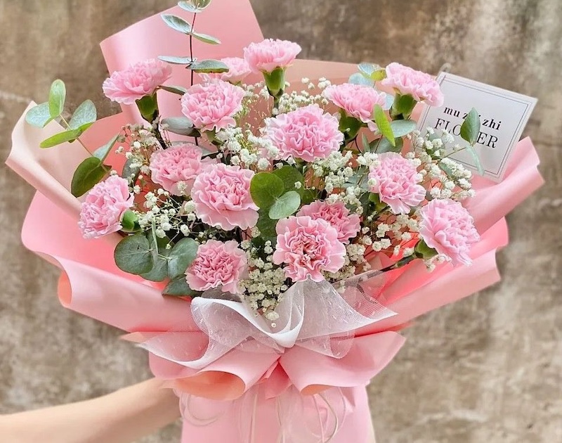 Hoa chúc mừng sinh nhật em gái: Bó Hoa Cẩm Chướng Hồng