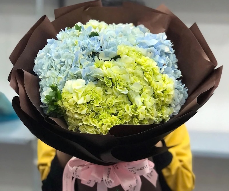 Bó Hoa Cẩm Tú Cầu - HBT51