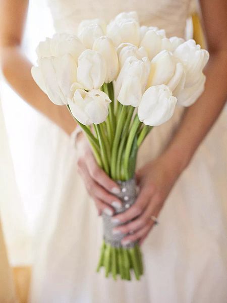 hoa cưới tulip trắng