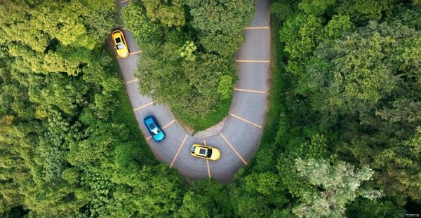 Kinh nghiệm ngắm hoa dã quỳ Ba Vì