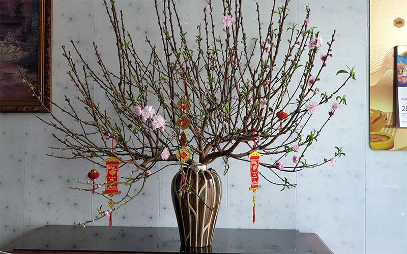 Hình ảnh hoa đào chưng Tết 2026
