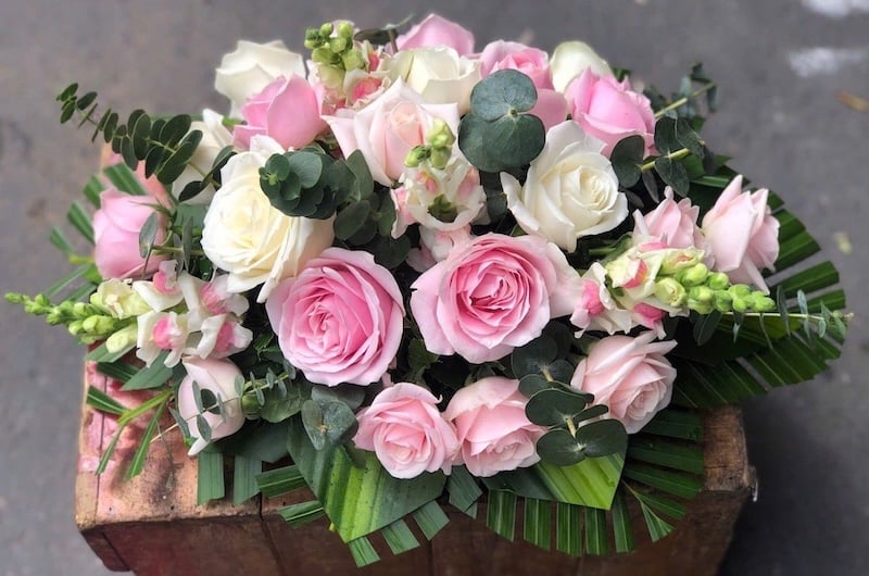 Hoa Để Bàn - Ovan 19