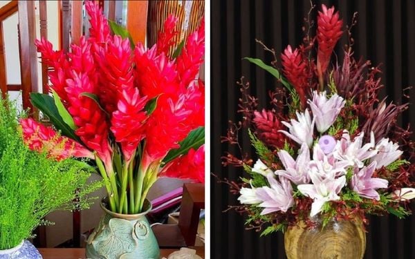 Các cách cắm hoa Hạnh Phúc đẹp, ấn tượng và sáng tạo tại nhà