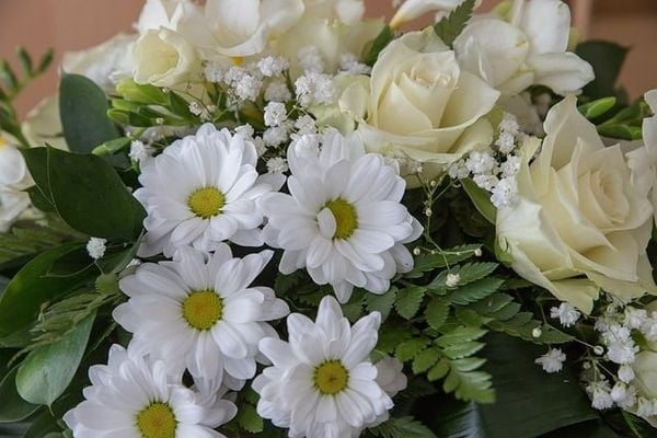 Hoa hồng trắng đám tang là biểu tượng của sự cảm thông và tiếc thương