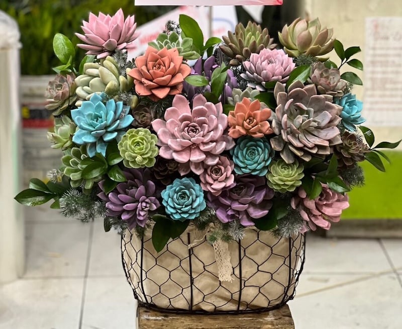 Giỏ Hoa Sen Đá - HG62 làm quà khai trương ý nghĩa