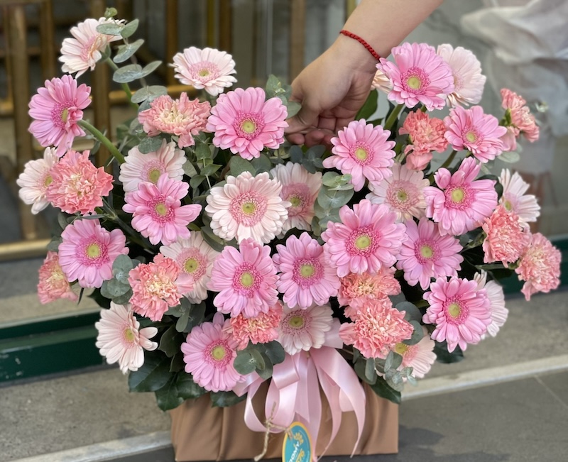 Bó hoa đồng tiền nhiều màu sắc, biểu tượng cho niềm vui, sự lạc quan và tình bạn bền vững.