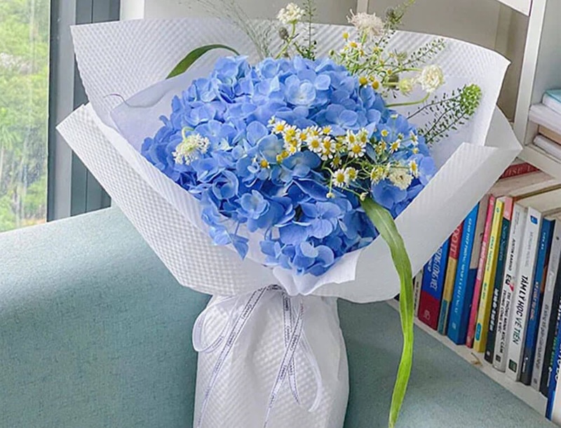 Bó cẩm tú cầu xanh nhạt dịu mắt, mang lại cảm giác gần gũi, dễ mến.