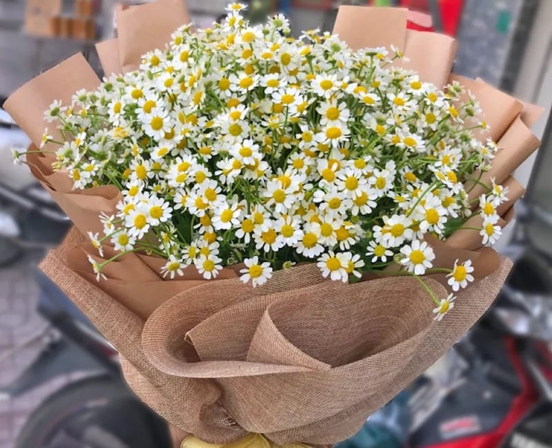 Bó Cúc Hoạ Mi Mộng Mơ - HBT65