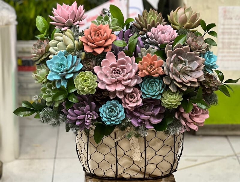 Giỏ Hoa Sen Đá - HG62 tặng ngày tốt nghiệp