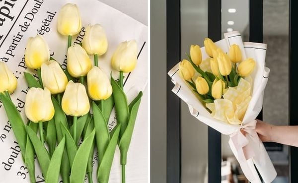 Hoa tulip đẹp tinh tế phù hợp để tặng mẹ
