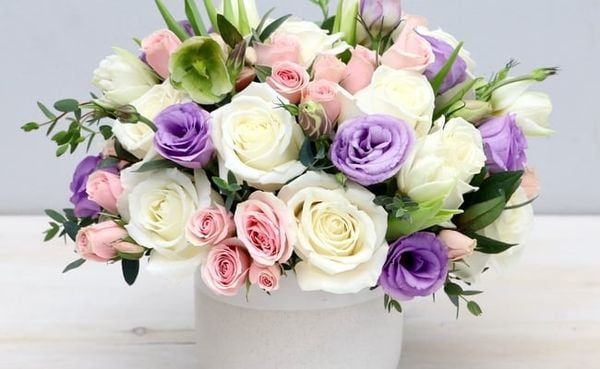 Bó hoa cát tường mix hoa hồng tặng mẹ ý nghĩa