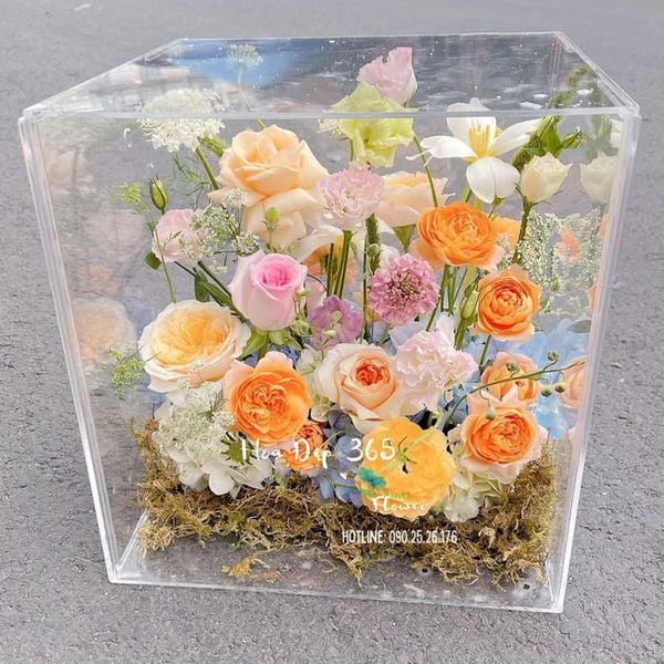 Hộp hoa Mica Dating thích hợp tặng mẹ của Flosa