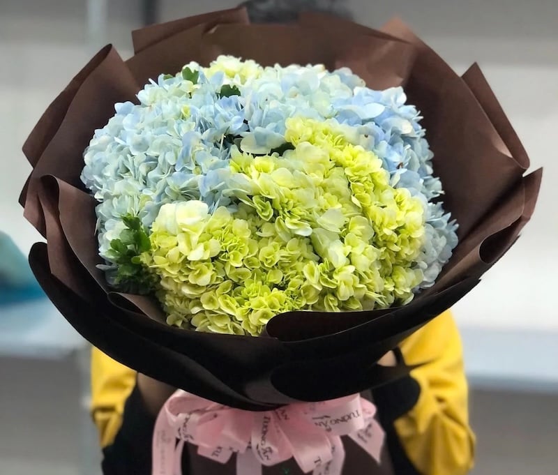 Bó Hoa Cẩm Tú Cầu - HBT51 - Hoa tặng mẹ