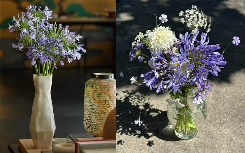 Cắm bình hoa thanh anh để trang trí không gian sống