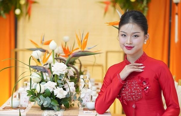 Ý nghĩa sâu sắc của Hoa Thiên Điểu trong tình yêu và phong thủy mang lại may mắn