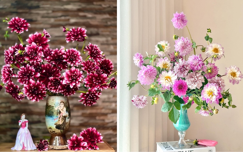 Thay nước thường xuyên để hoa thược dược tươi lâu