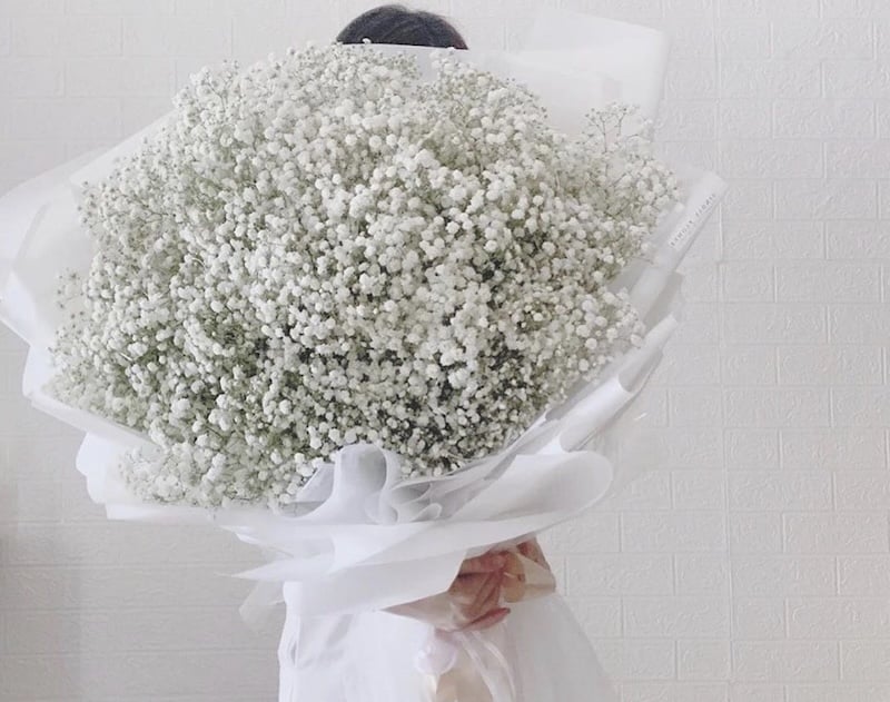 Đoá hoa baby tặng tốt nghiệp