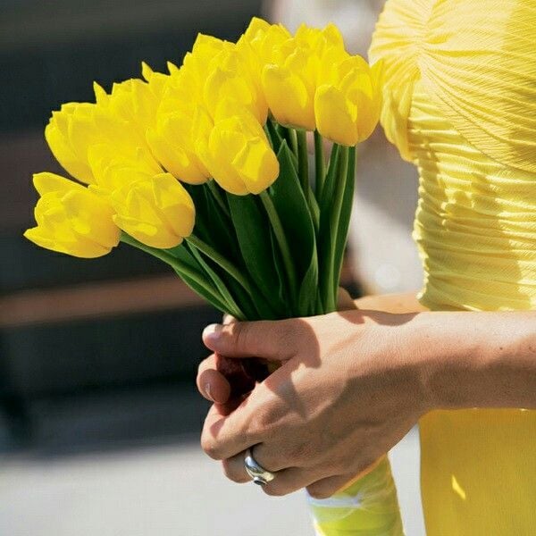 hoa cưới tulip vàng