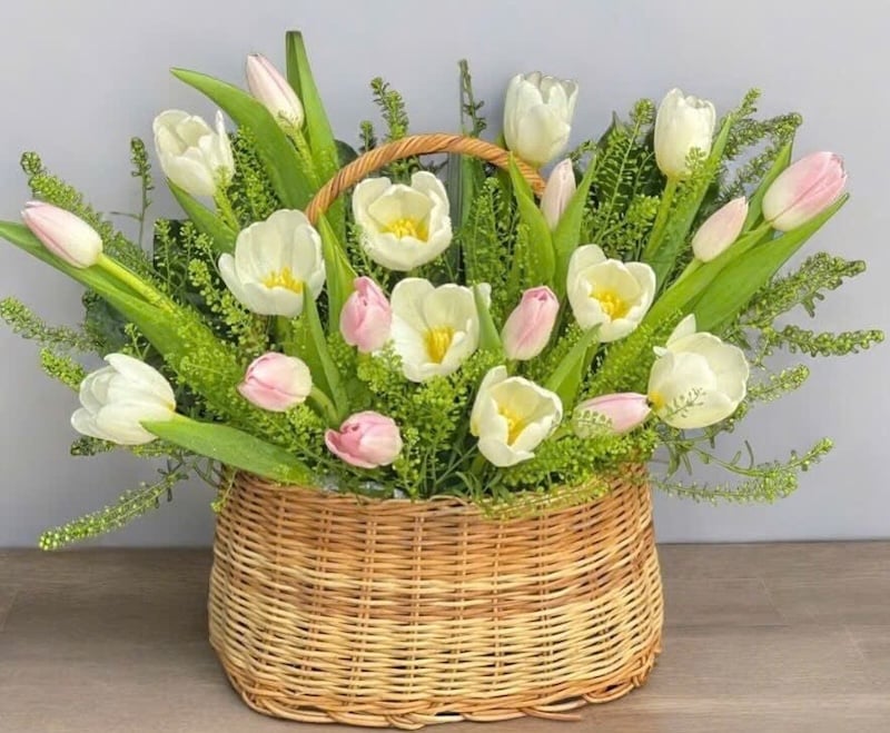 Giỏ Hoa Tươi Tulip Mix Màu - HG63