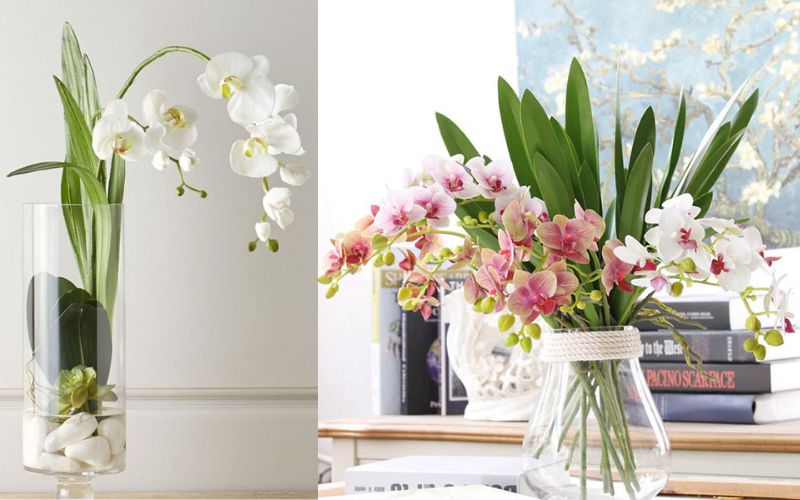 Mẫu cắm hoa lan hồ điệp kiểu Nhật (Ikebana) độc đáo