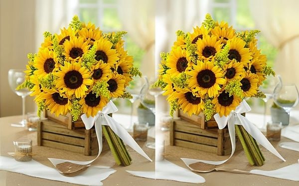 Hoa hướng dương mang tầng ý nghĩa sâu sắc trong cuộc sống, tình yêu và phong thủy