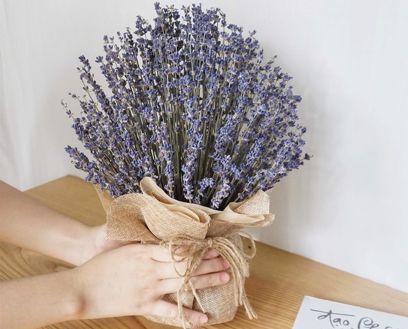Hộp Hoa Lavender Thuỷ Chung - LVD01 tặng người yêu