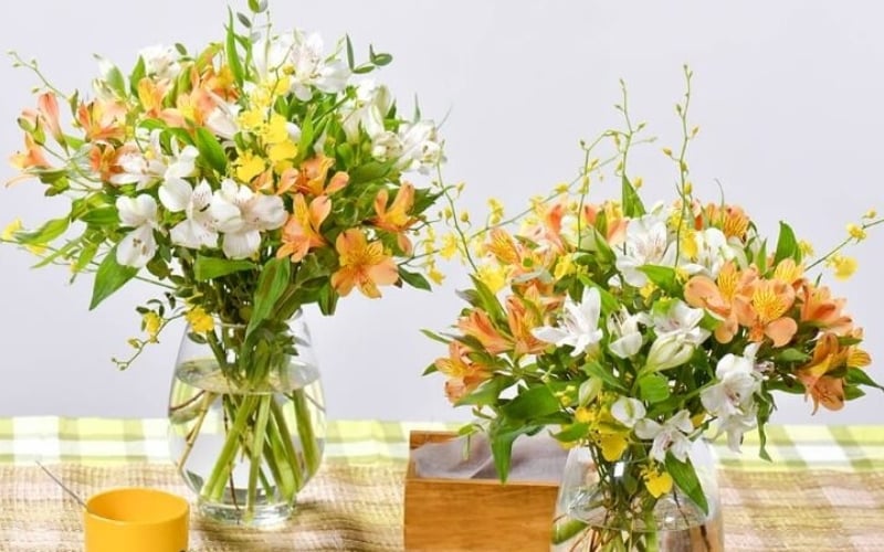 Hoa thủy tiên là một loài hoa may mắn trong học tập và sự nghiệp