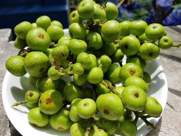 Sung  thể hiện sự sung túc.