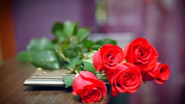 Lời chúc ý nghĩa ngày 8/3 dành cho người yêu