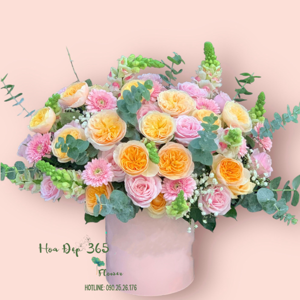 Hộp Hoa Chói Lóa - HH02 là hộp hoa chúc mừng 8/3 cho cô giáo thích hợp
